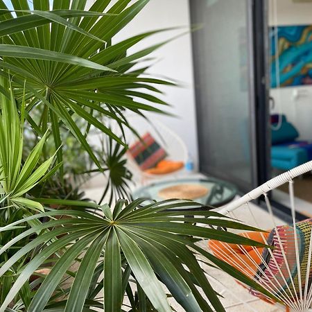 Family Apartments Near Beach Polo88 Πλάγια Ντελ Κάρμεν Εξωτερικό φωτογραφία